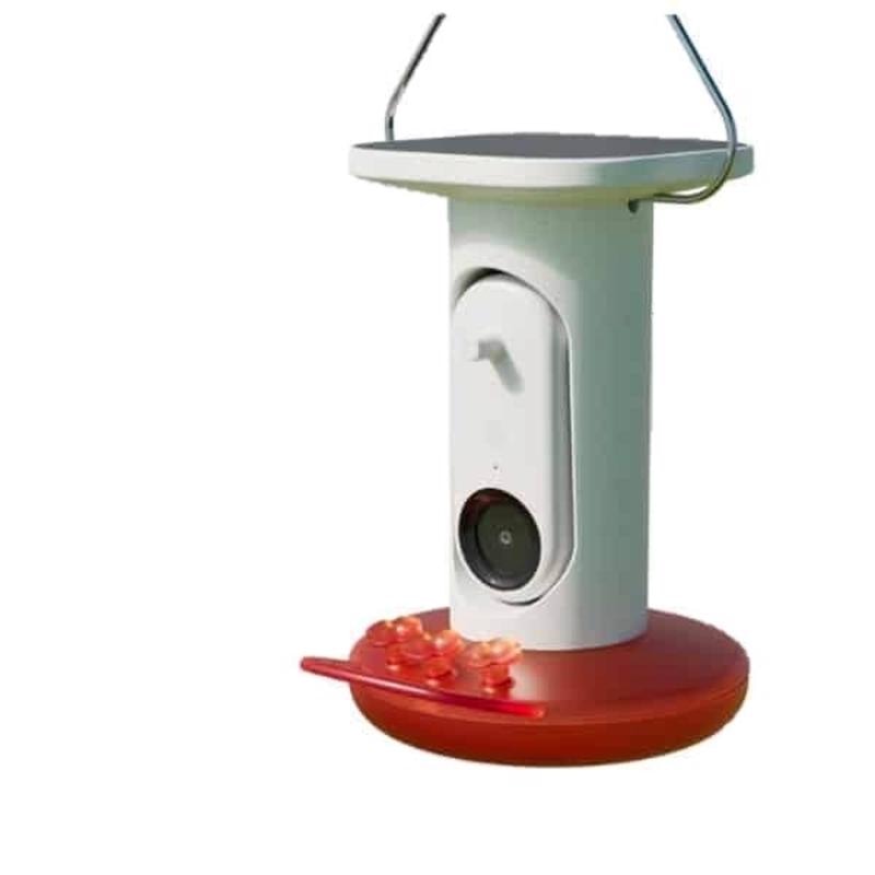 BRD FDR SMRT SLR CMR