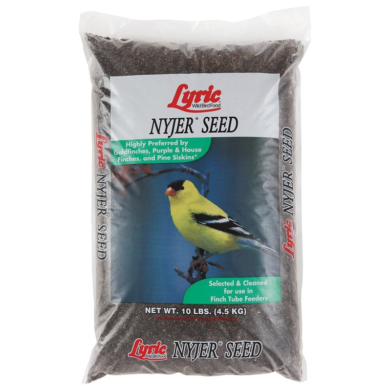 LYRIC NYJER SEED 4/10#