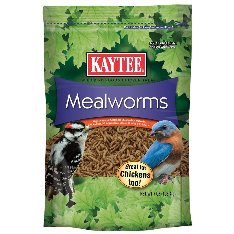 MEALWORMS POUCH 7 OZ KT