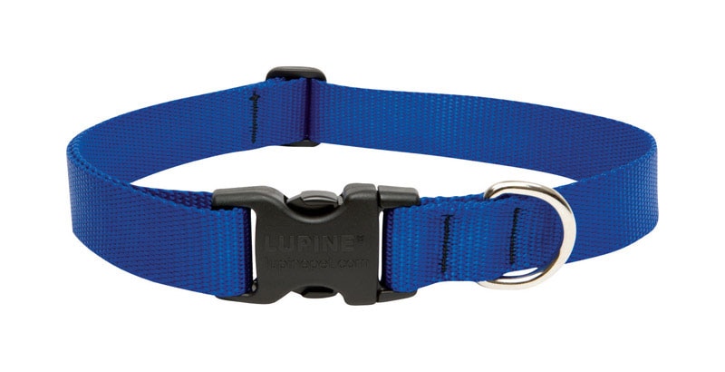 DOG COLLAR 16-28"ADJ BLU