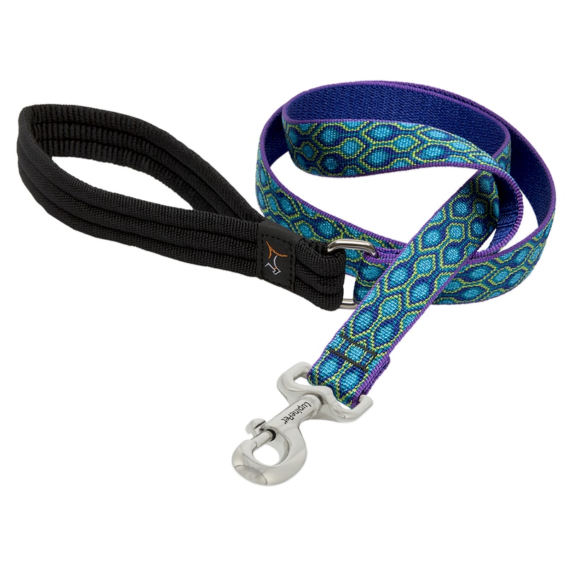 DOG LEASH 1"X6' RS DS