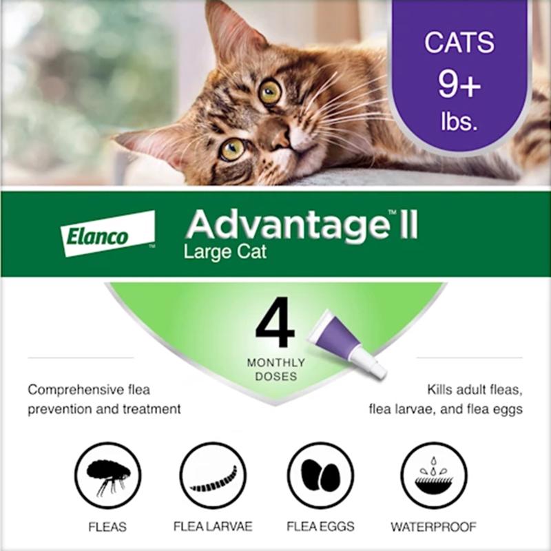 ADVANTAGE II LRG CAT