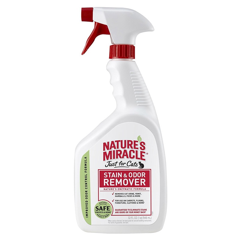 PET STAIN&ODOR REMVR32OZ