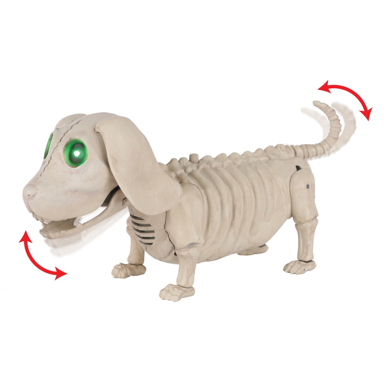 ANIMTD DOG SKELTN 10.25"