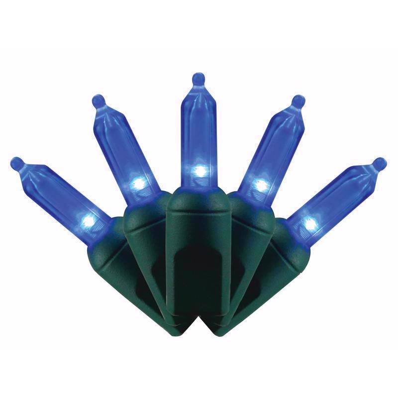 PLAT T5 LIGHTS 50CT BL