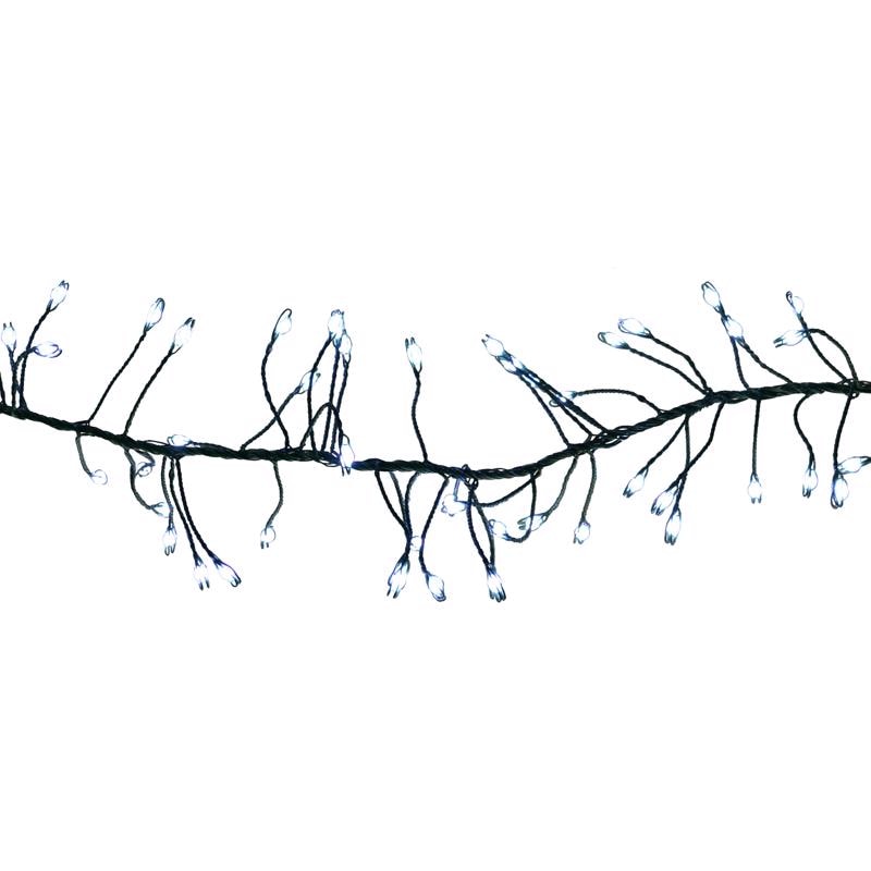 CLSTR LED LGHT PW 250CT