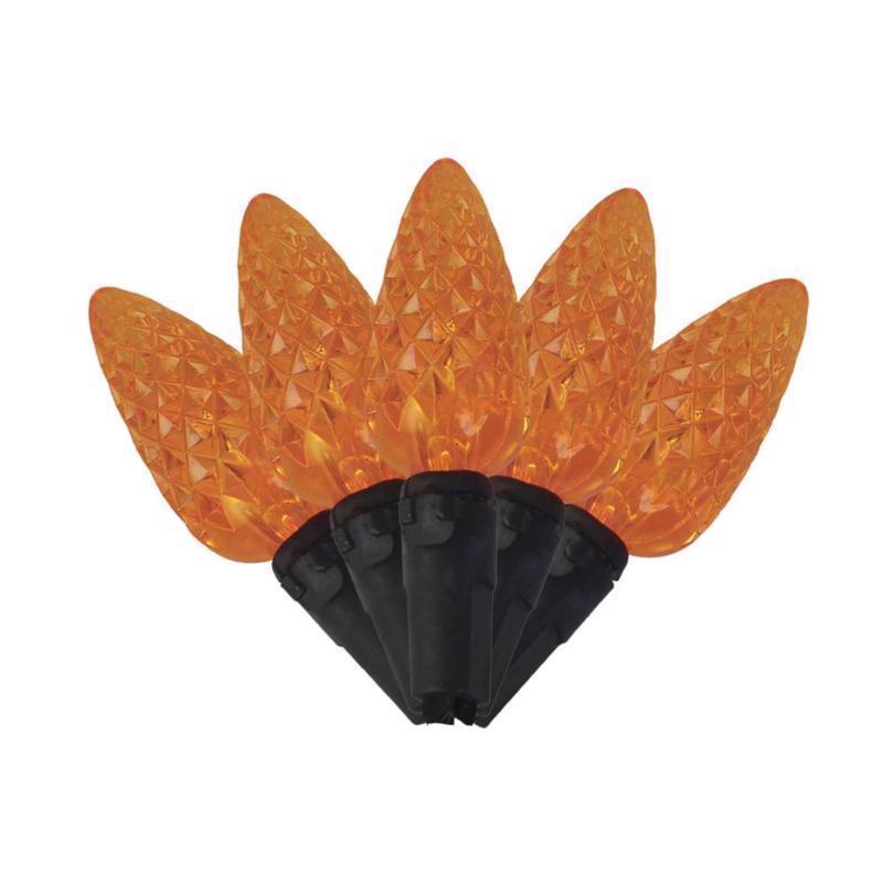 LIGHT ANT FLCKR ORG 100L