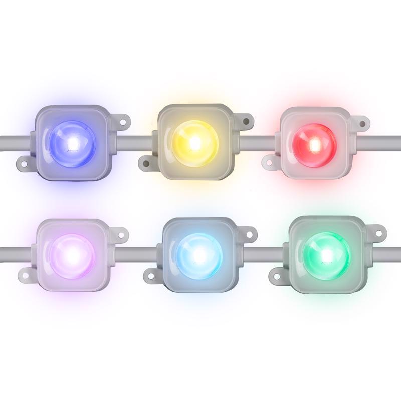 LIGHTS PLAT RGBW 50'