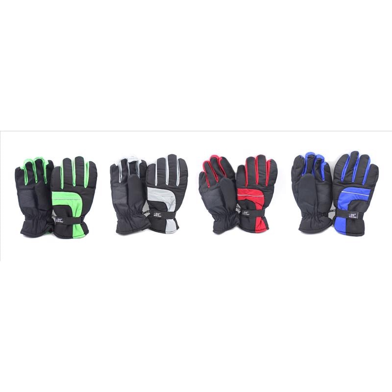 GLOVES SKI WINTR BLK 1PR